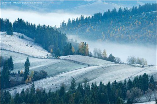 Сахарно-туманное утро
