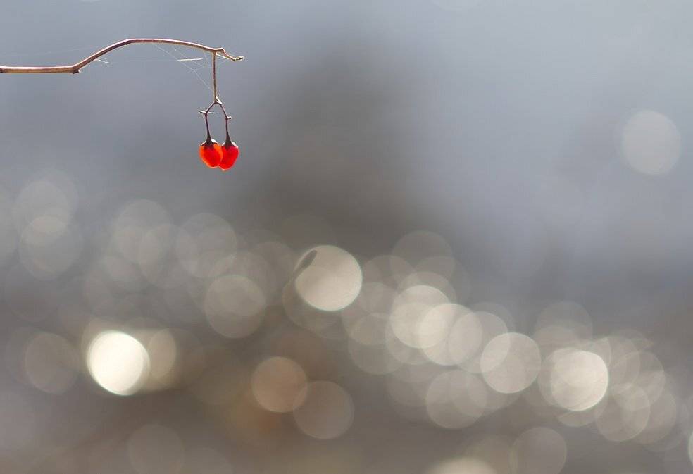 , Володя Демидчик