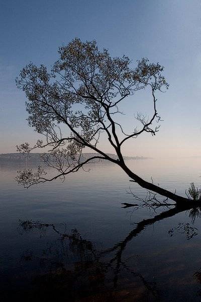 , Георгий Грушин (Photo-classic)