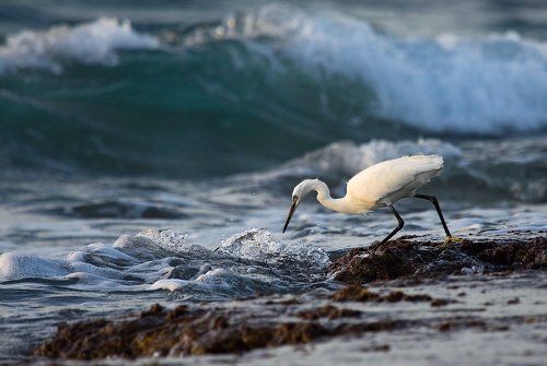 разговор с прибоем....