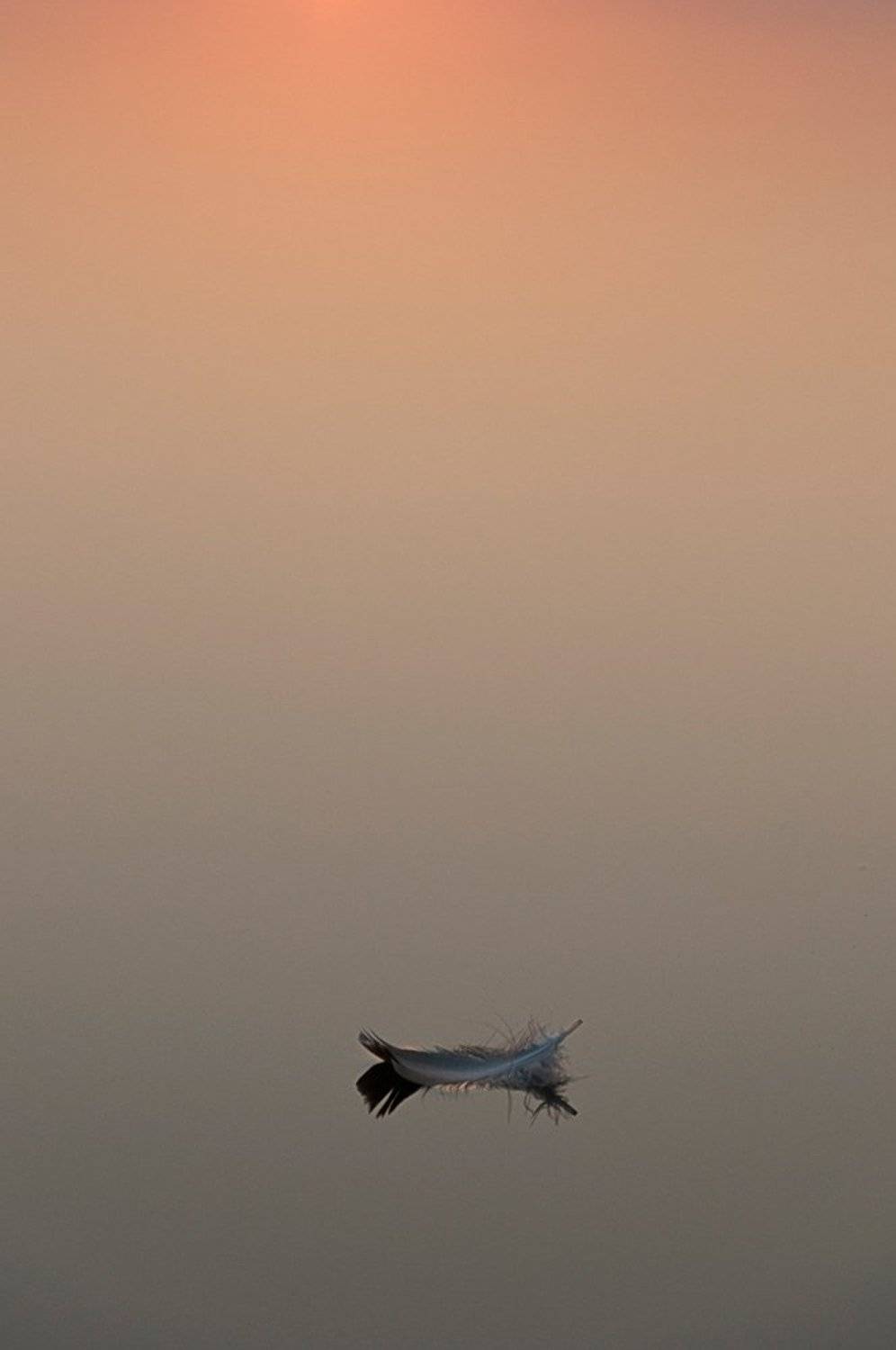 перо, вода, рассвет, Динара