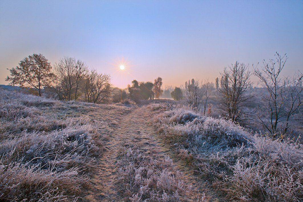 , Петр Антонович