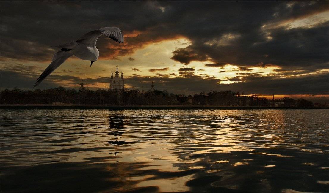 , Сергей Пархоменко