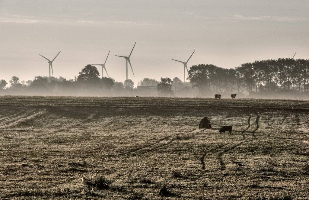 , Павел Дунюшкин