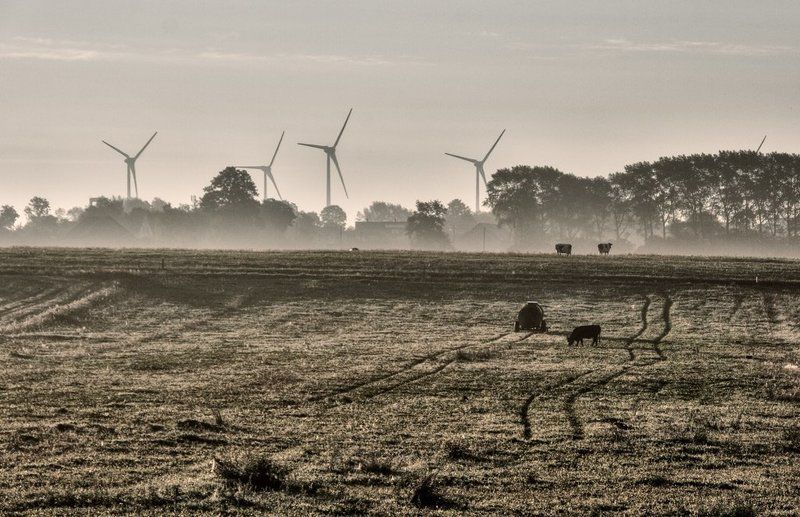 Утренние туманы фото превью