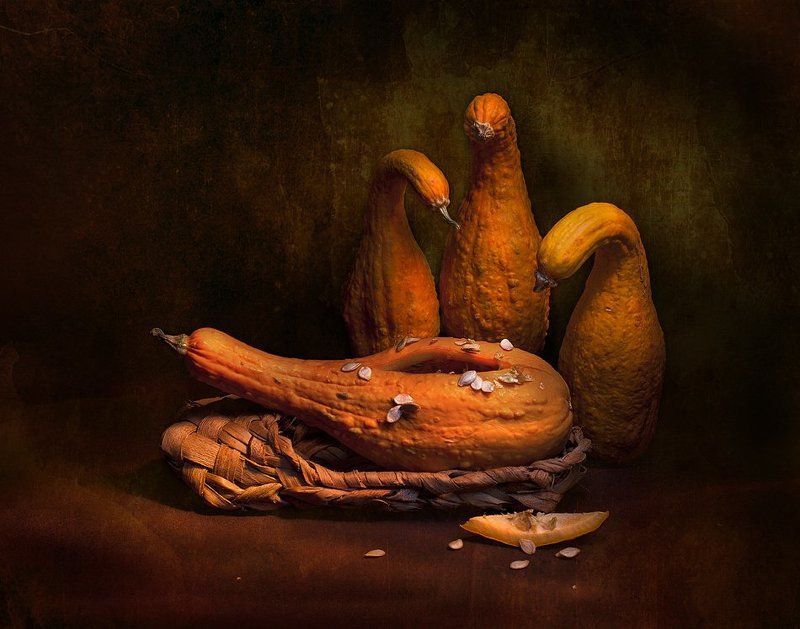 сельские лекари фото превью