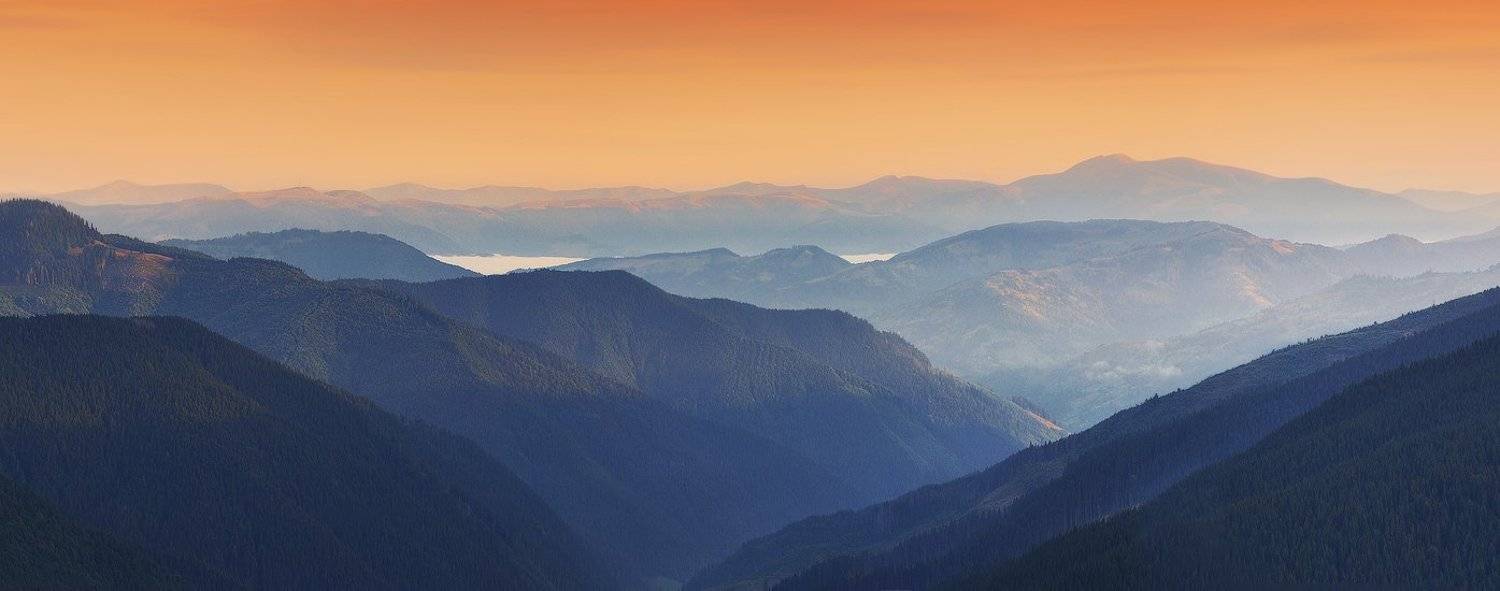 , Денис Кривой