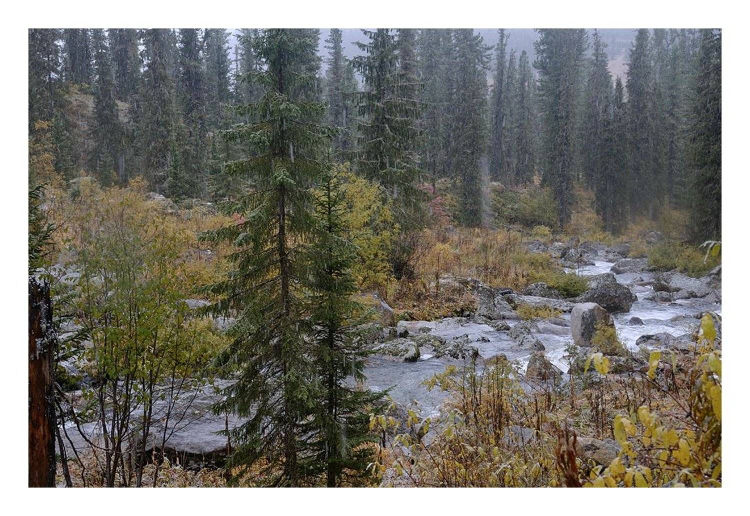 , Евгений strannik521