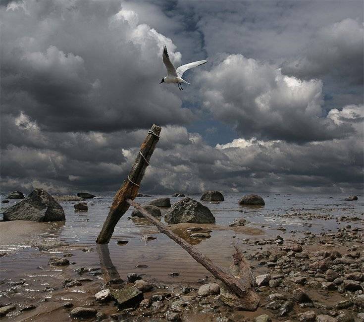 , Сергей Пархоменко