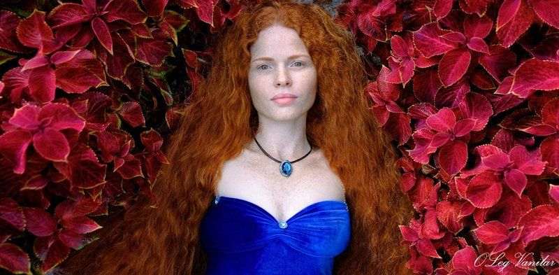 exellent red wine фото превью