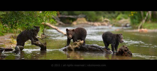 Речная братва