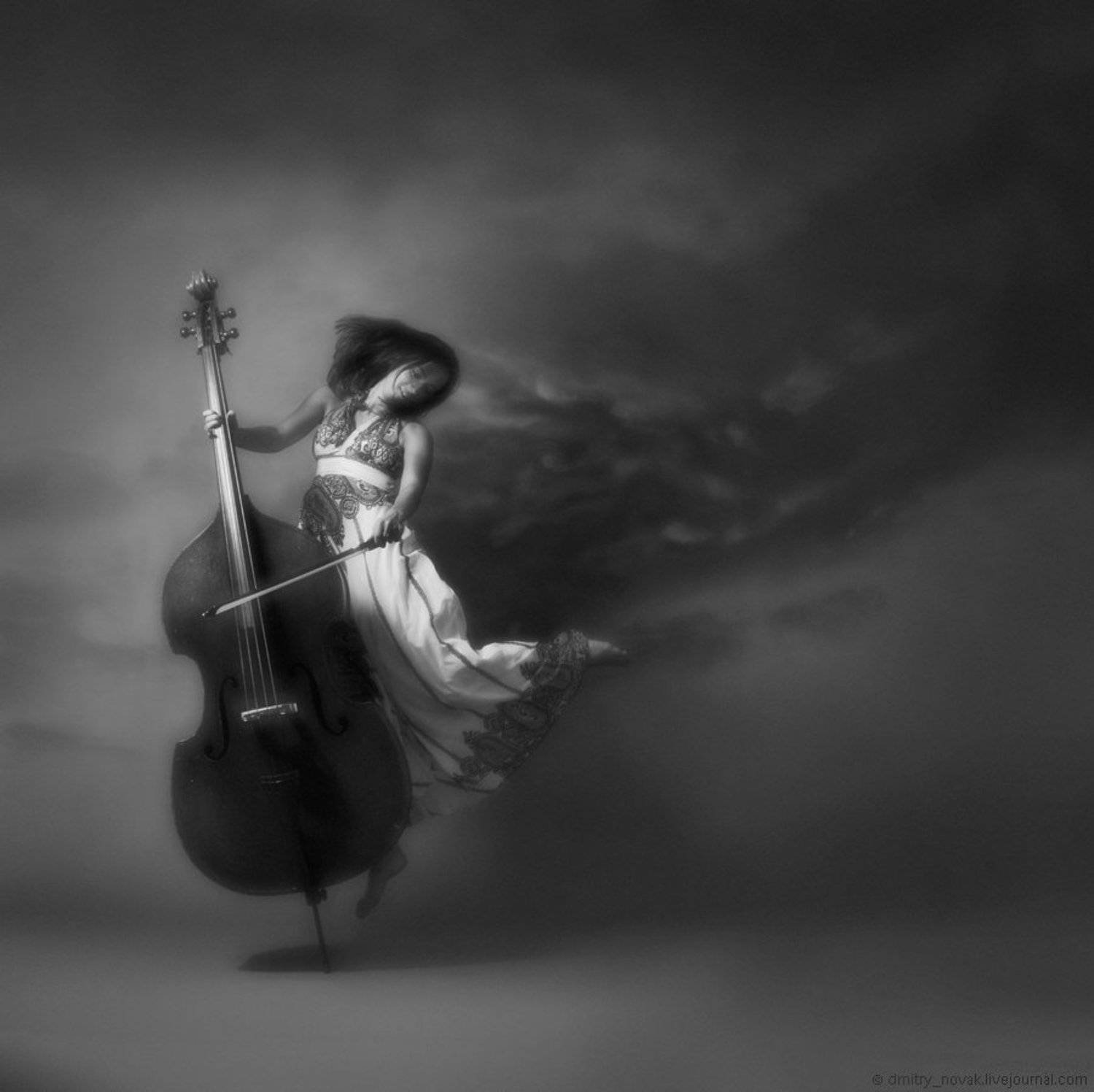 , Дмитрий Новак