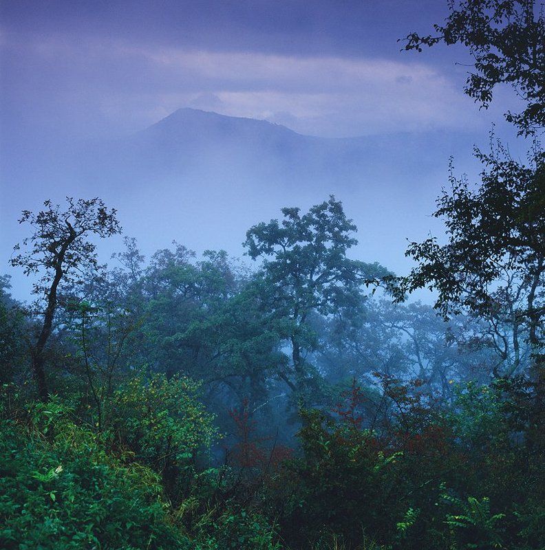 лаго-наки Близ плато Лаго-Наки фото превью