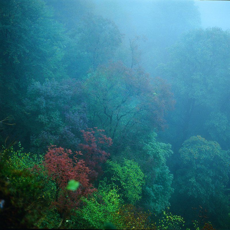 лаго-наки Близ плато Лаго-Наки # 2 фото превью