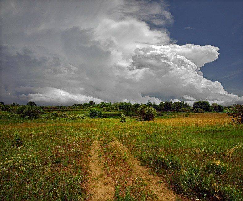 , Сергей Пархоменко