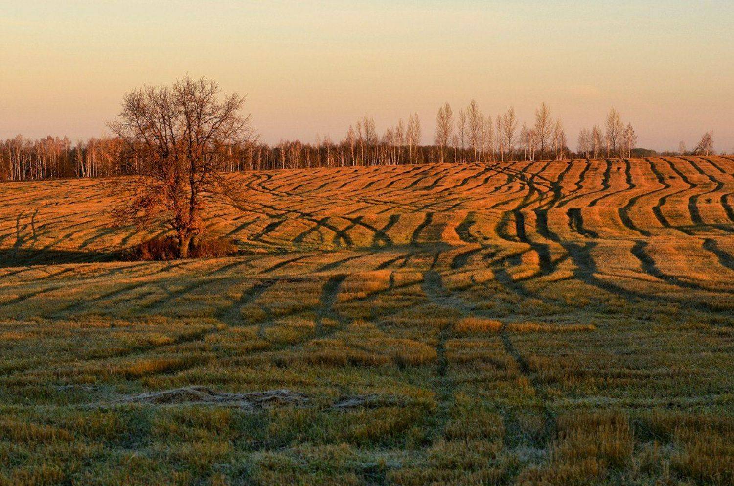 , Андрей Балабин