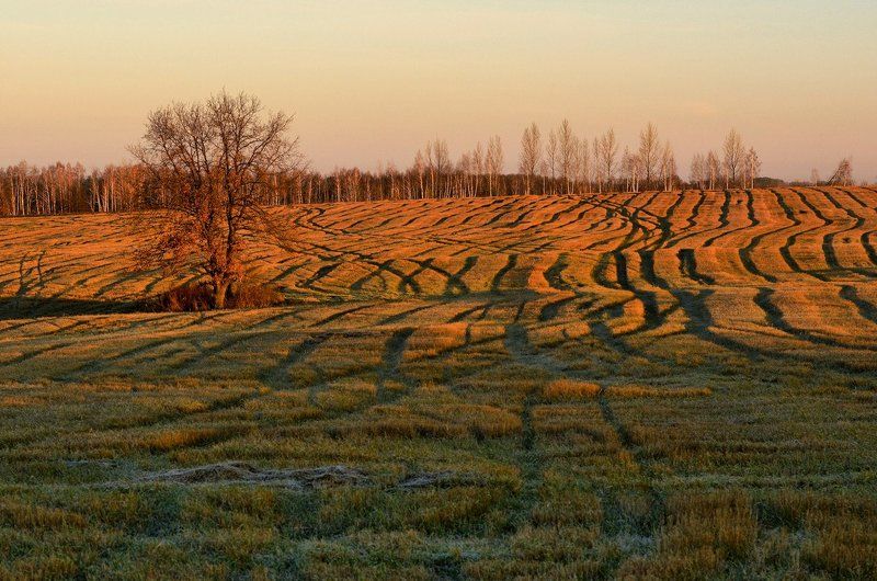 Морщины... фото превью