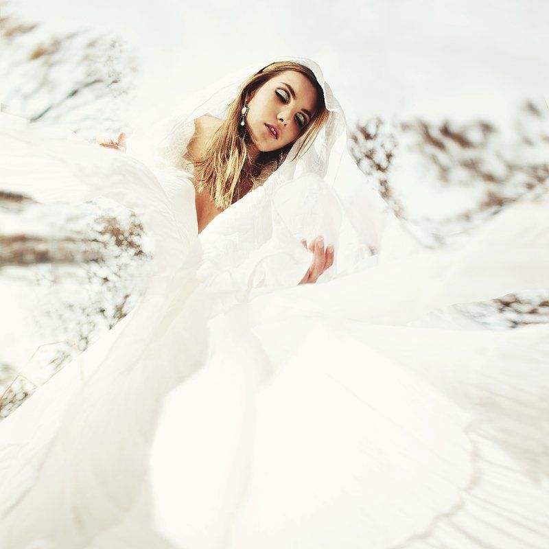 wild wind фото превью