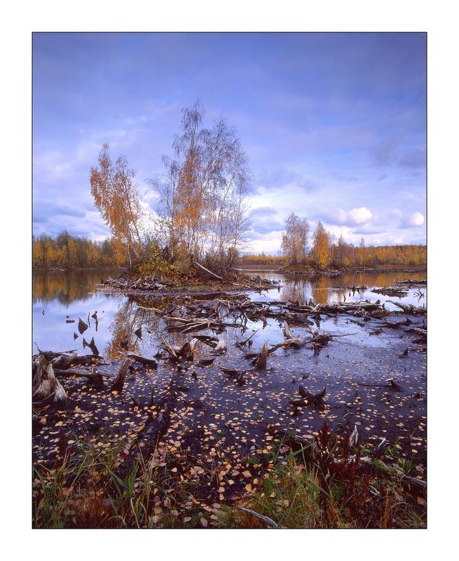 Предзимье 5 фото превью