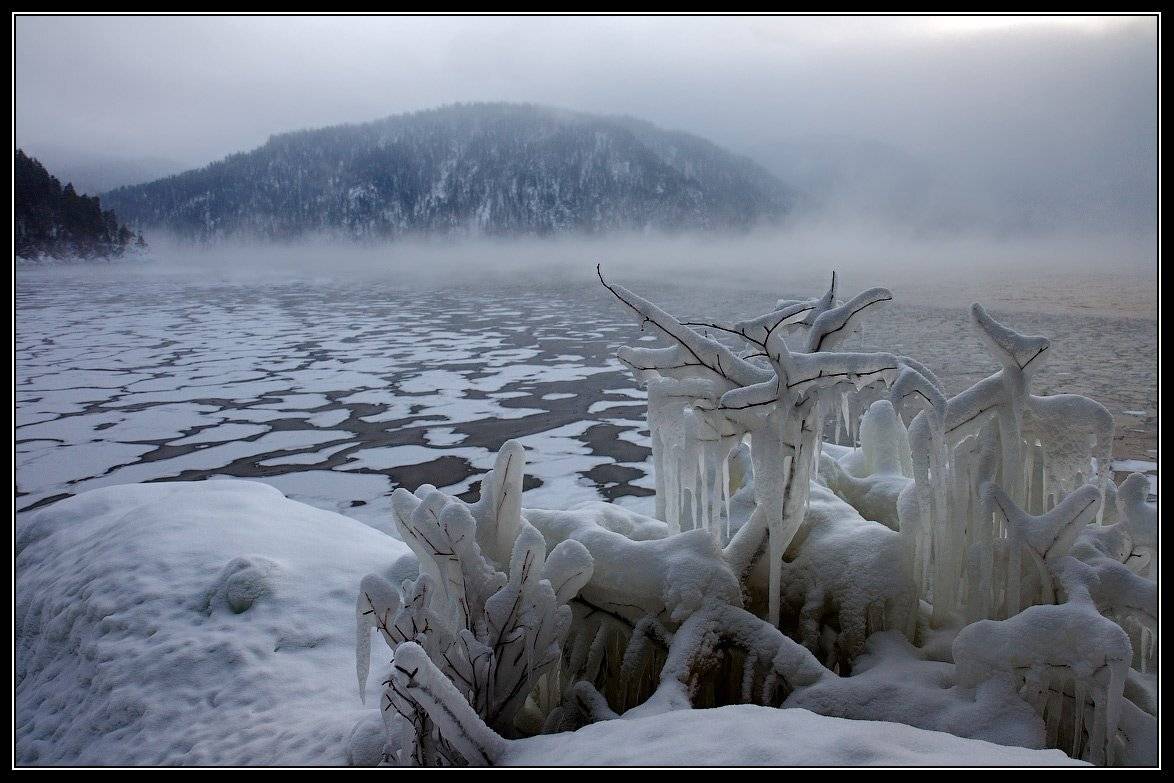 , Юрий Фролов