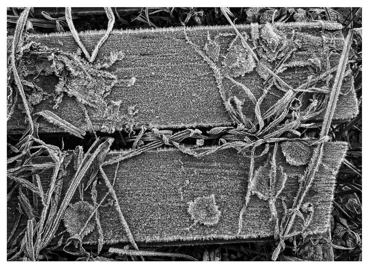 , Владимир Перепечаев