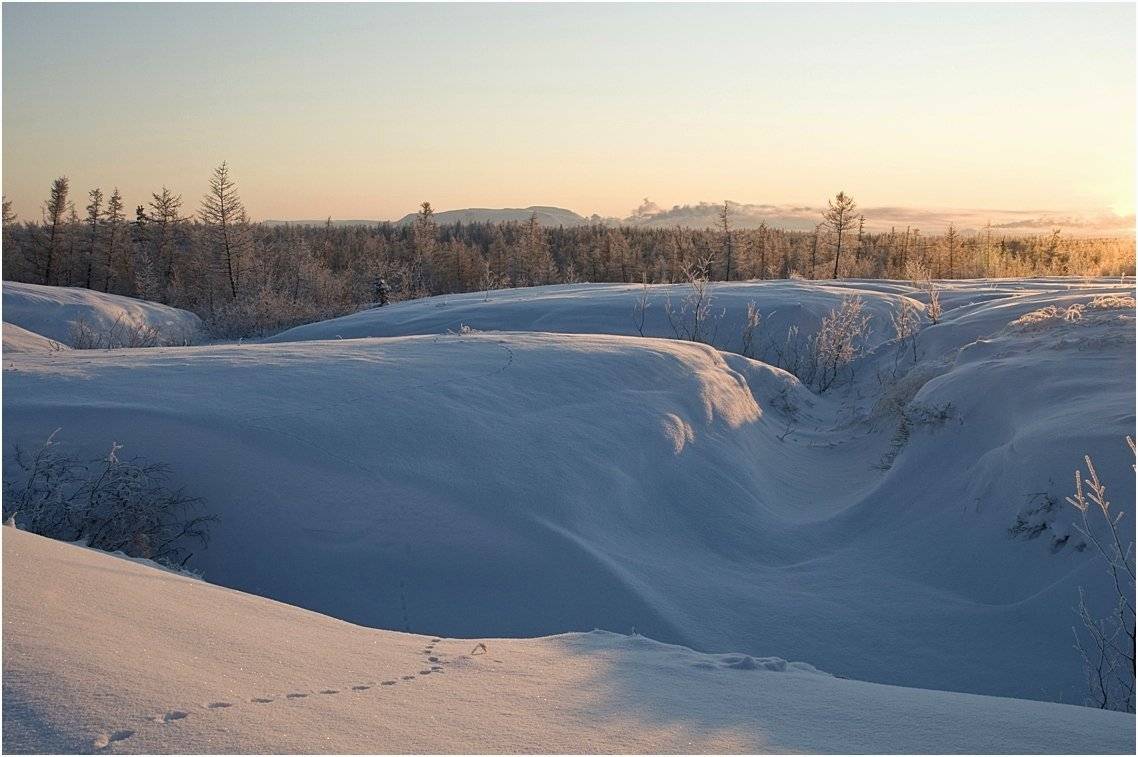 таймыр, Vladimir