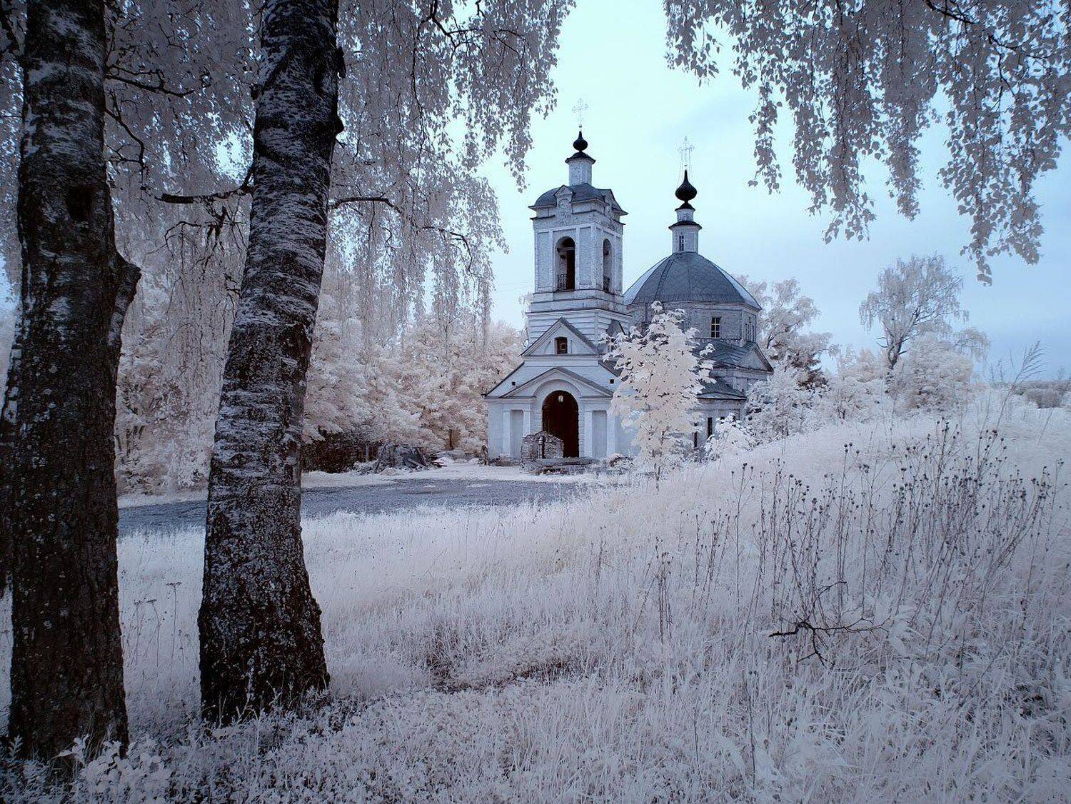 , Максим Евдокимов