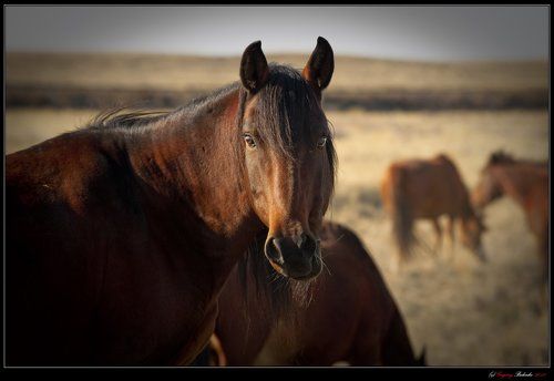 Семипалатинский полигон:  20 лет спустя...