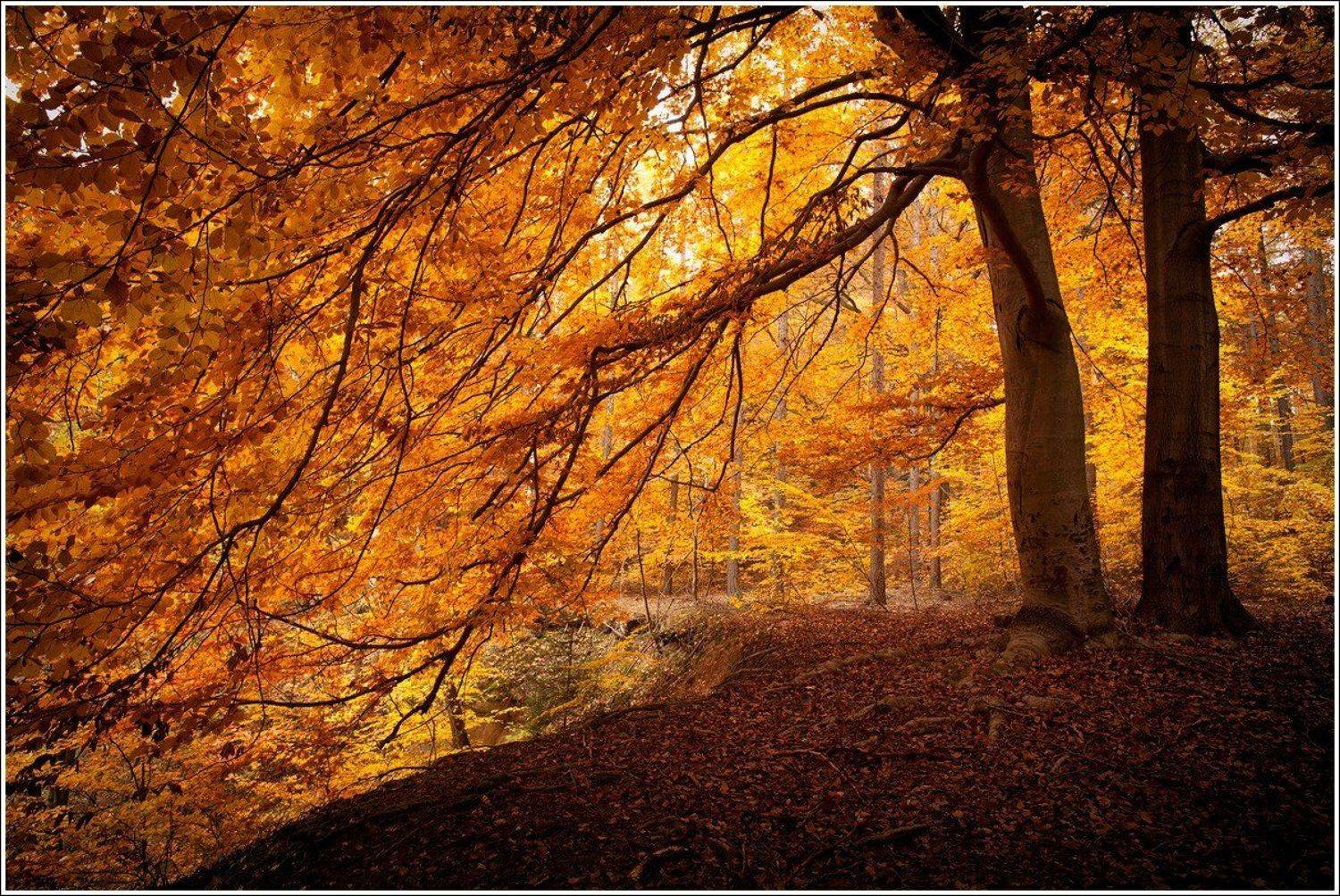 , Григорий Иващенко