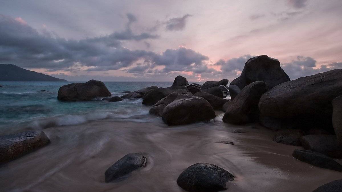 , Людмила Прокофьева