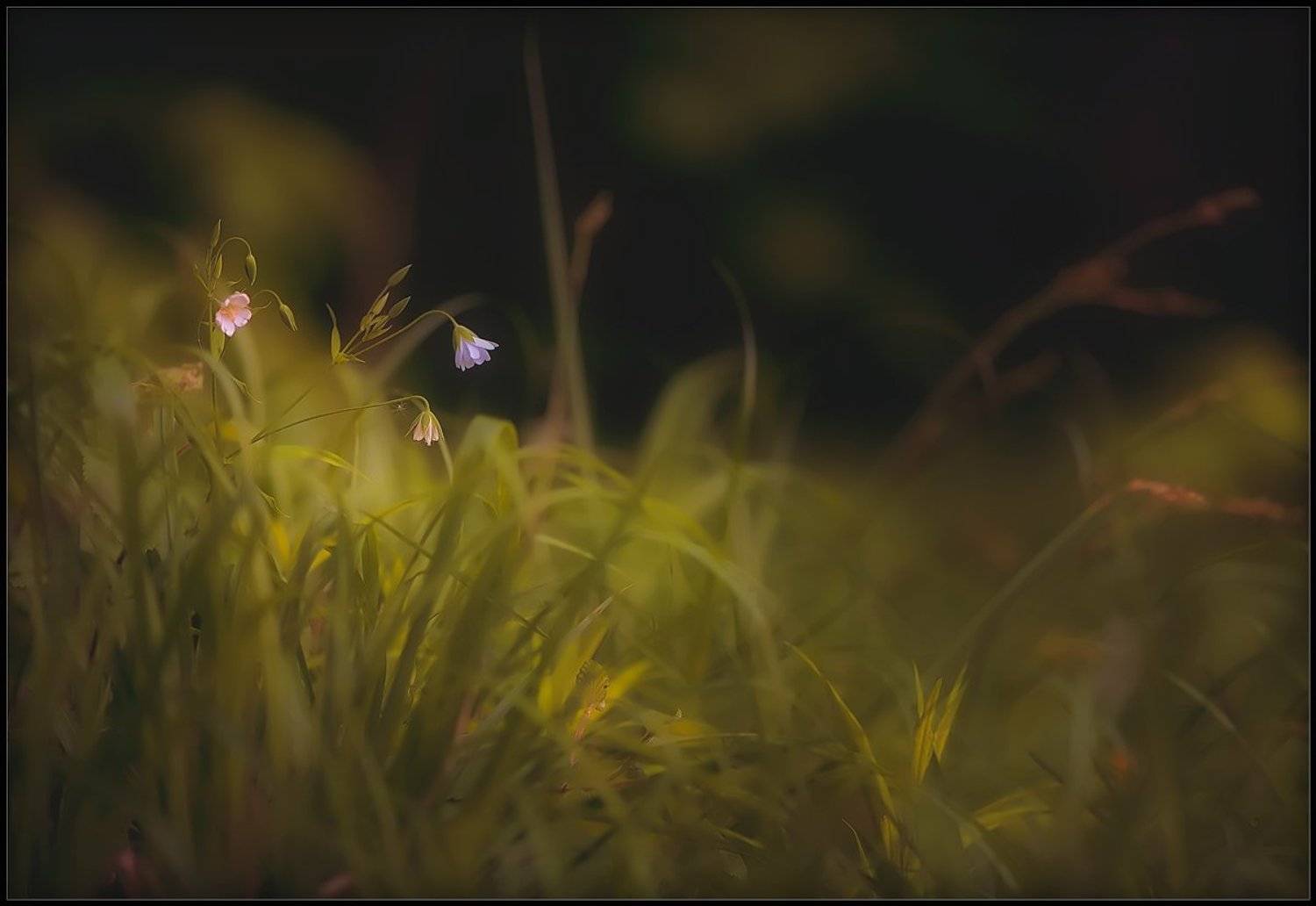 , Евгений Кирилкин.