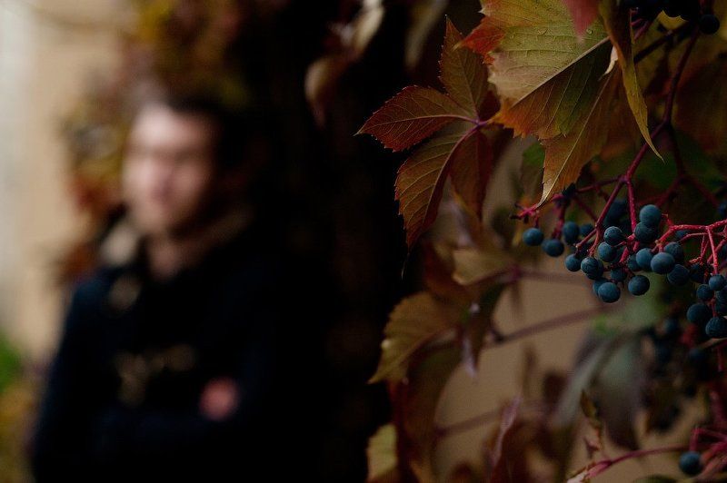 Заяц фото превью