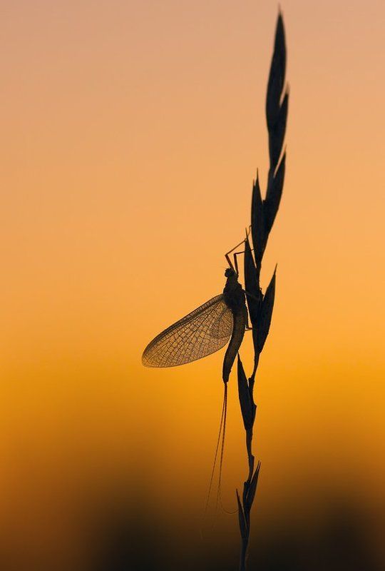 ххх фото превью