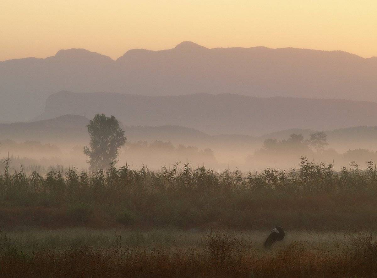 , Владимир Перепечаев