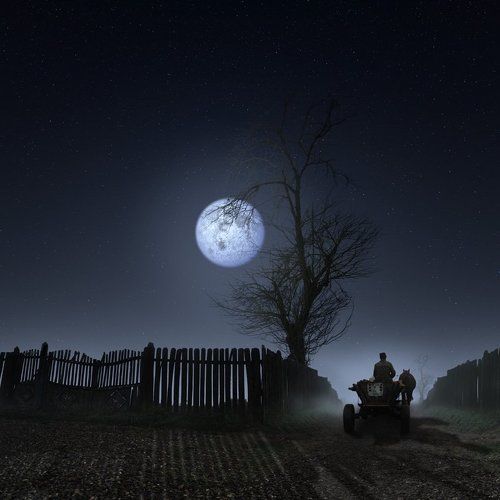 Land of loneliness II -NIGHT TIME-