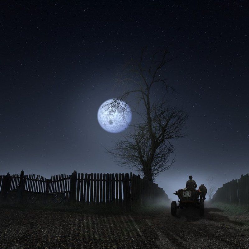 Land of loneliness II -NIGHT TIME- фото превью