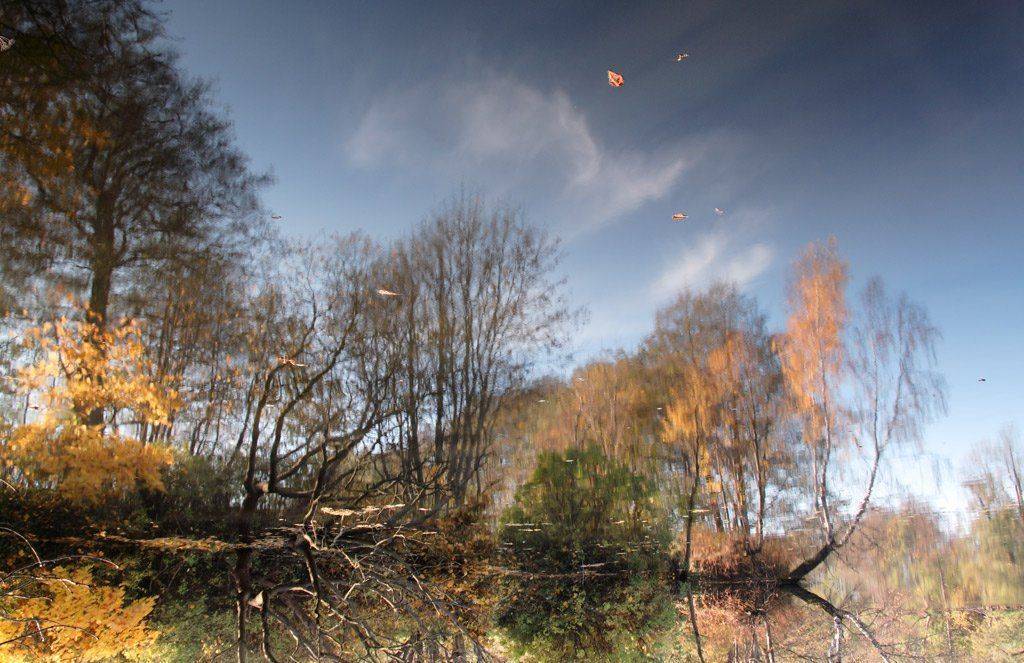 , Павел Дунюшкин