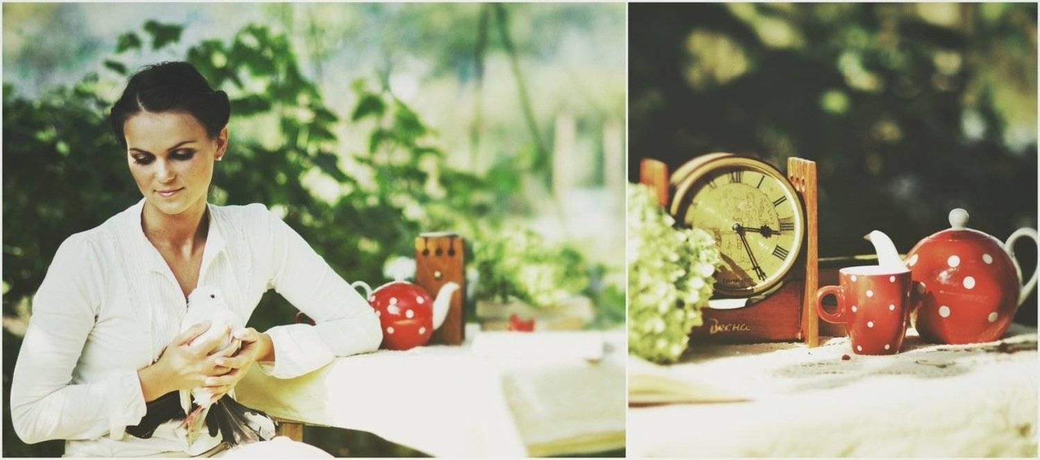 голуб, натюрморт, осень, Верста Юлія