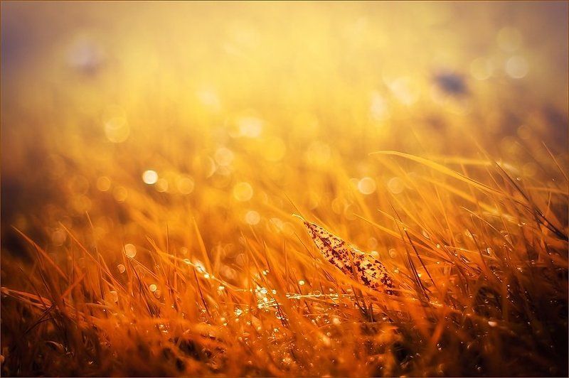 Мои 10 работ фото превью