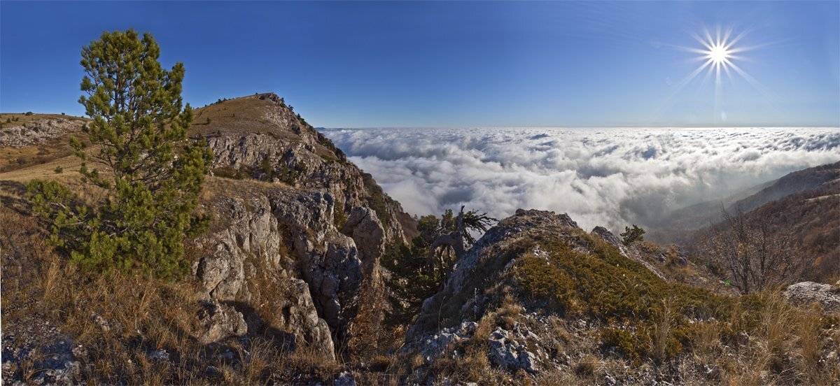 , Станислав Савицкий