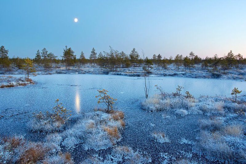 луна, болото, сумерки Луна и болото фото превью