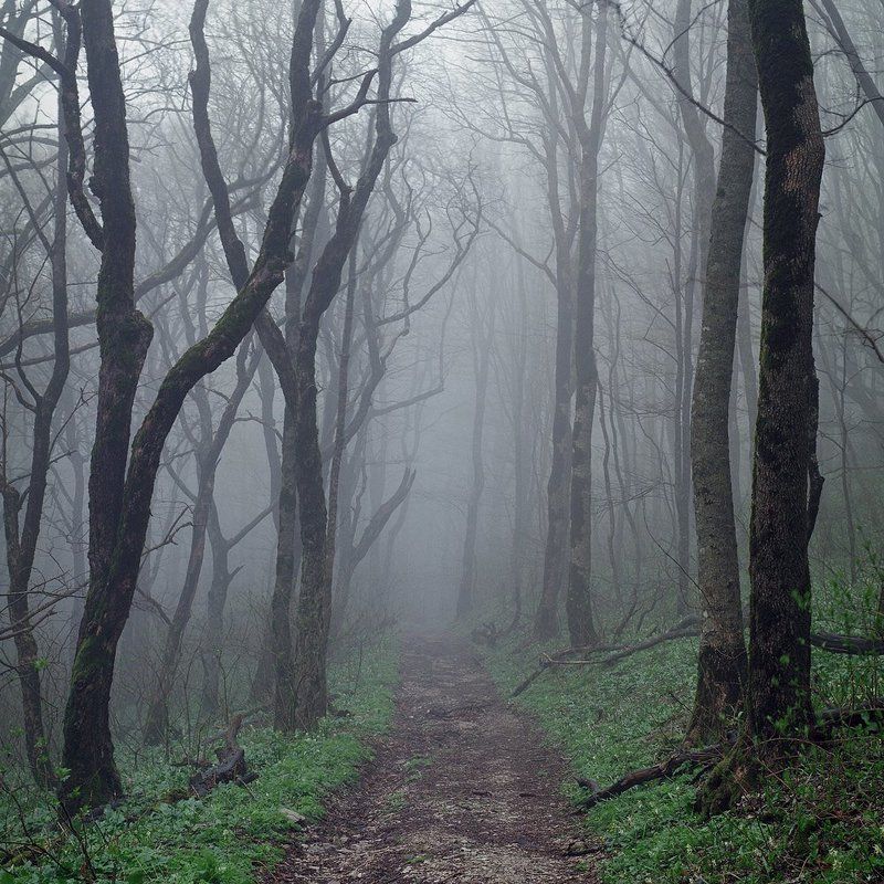 * фото превью