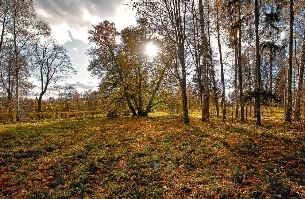 , Сергей Пархоменко