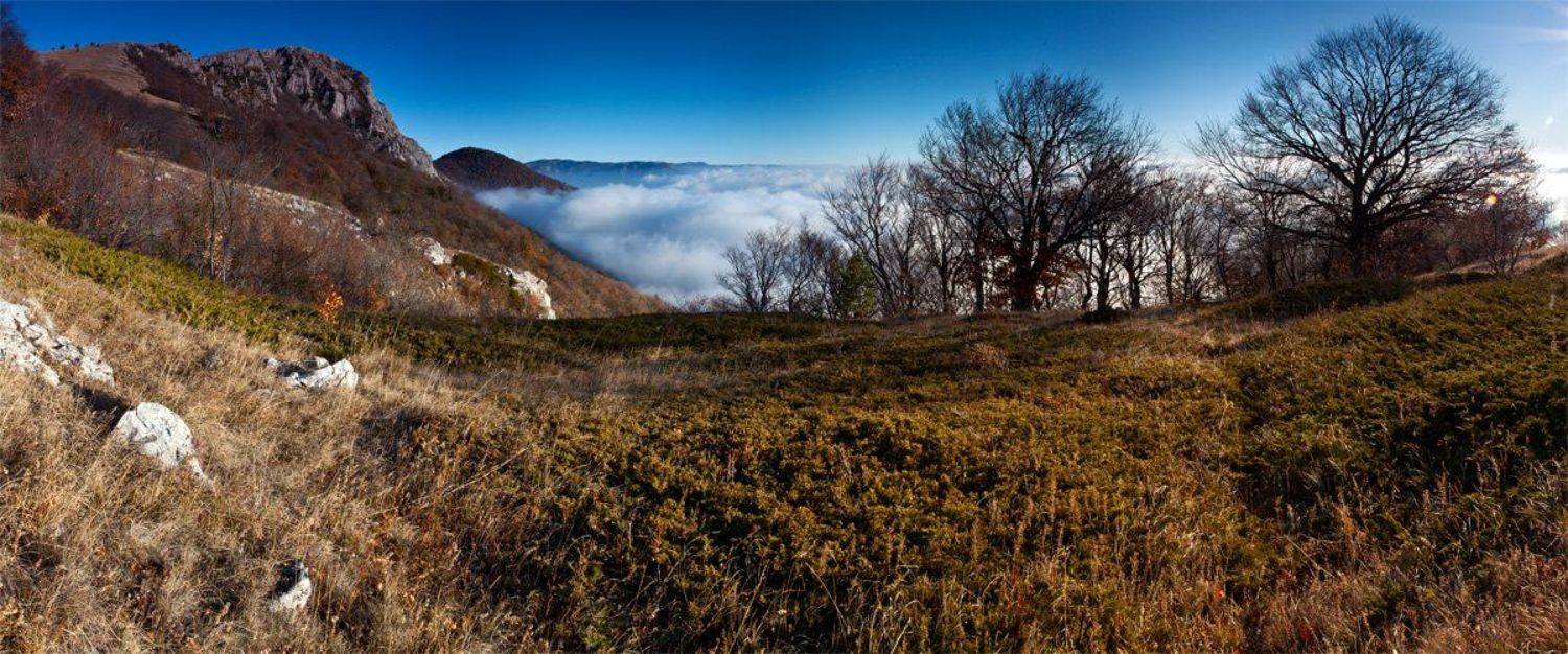 , Станислав Савицкий