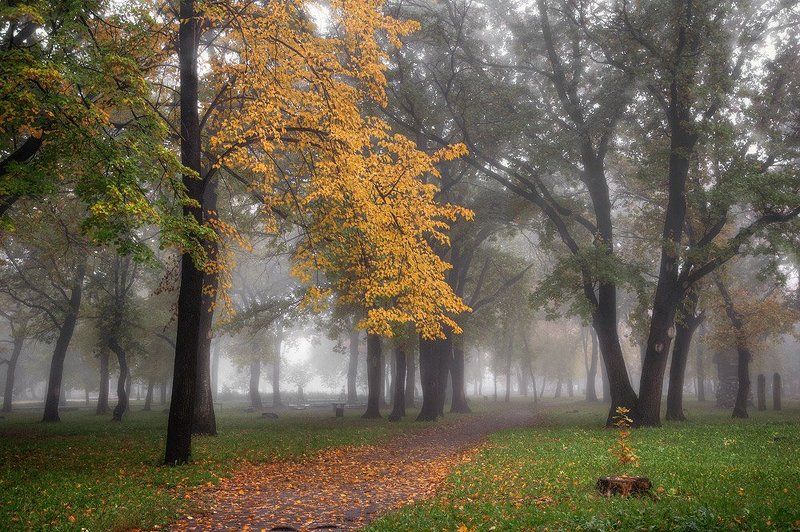 Осень в парке фото превью