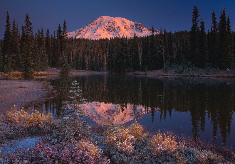 Morning in Wonderland фото превью