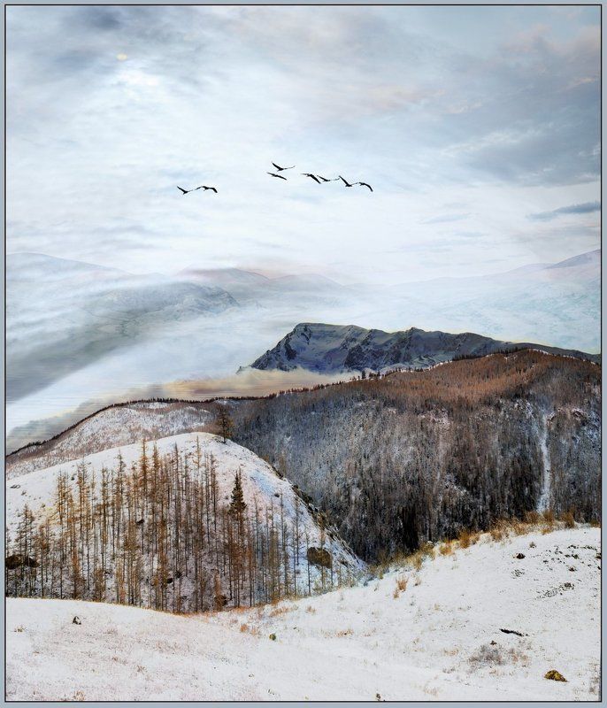 мажой, осень,снег,горы. Беловодье...(Блюз уходящей осени..). фото превью