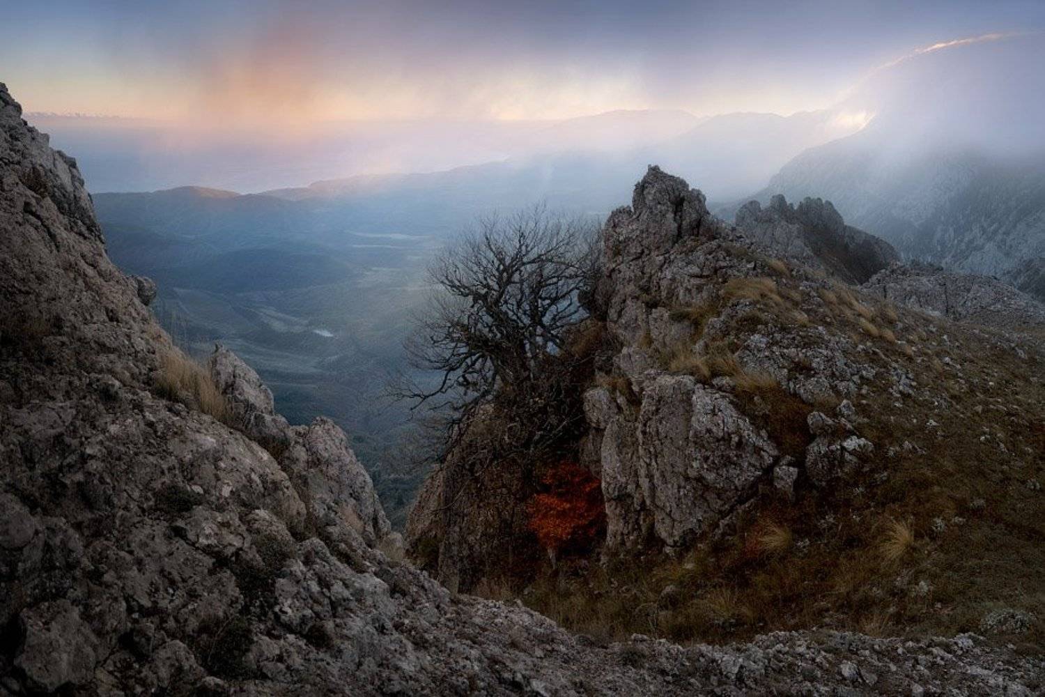 , Алексей Пучков