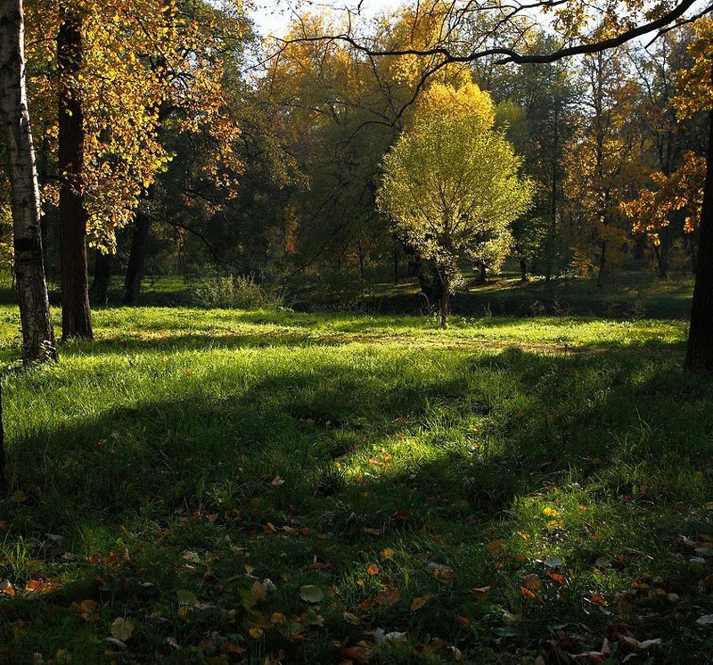 *** фото превью