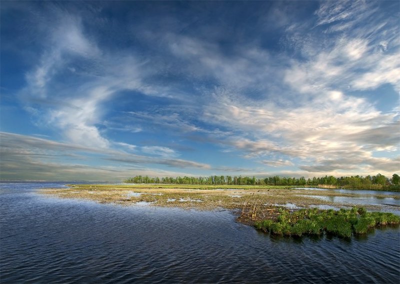Розлив фото превью